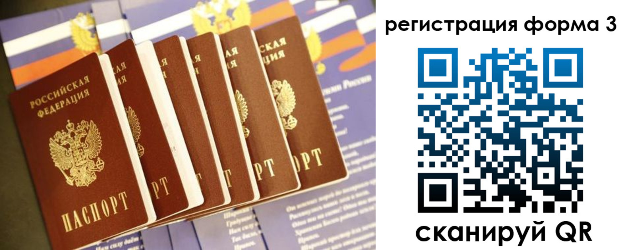 прописка поиск в Новочеркасске